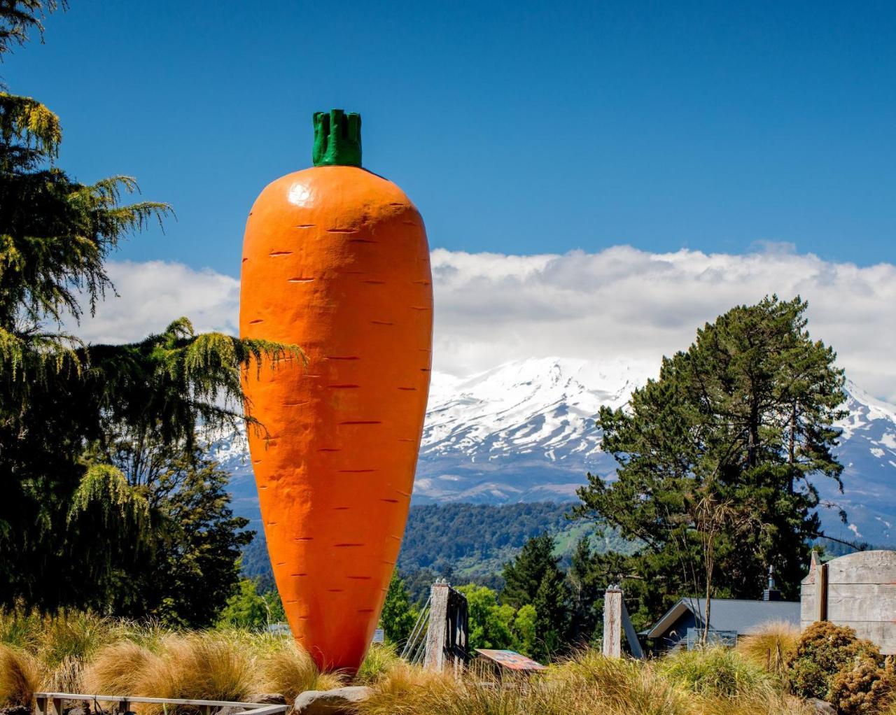 Ohakune Top 10 Holiday Park Exterior photo